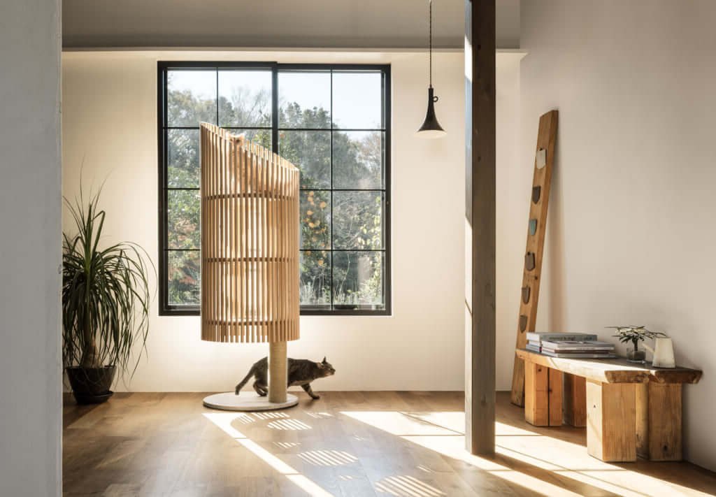 Comment choisir un arbre à chat adapté du sol au plafond