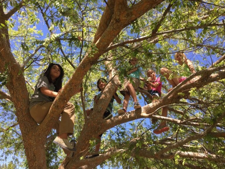 Pourquoi choisir Saint Léonard des Bois pour faire de l'accrobranche 18 arbre et grimpeurs en pleine nature