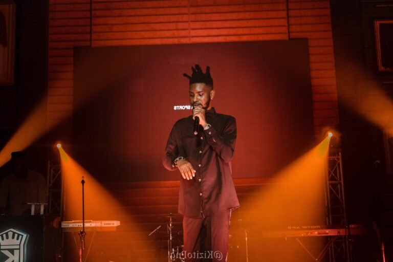 Quelles sont les débouchés après un Bac Pro Art du Spectacle 11 artistes en scene lors dune performance