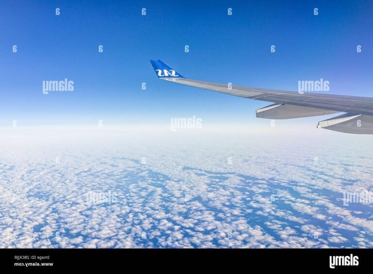 avion survolant latlantique ensoleille