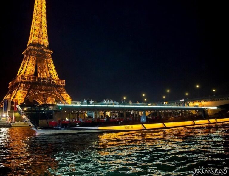 bateaux mouches amarres au pont de lalma
