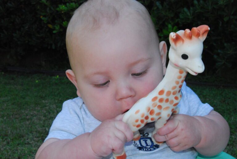 bebe jouant avec sophie la girafe