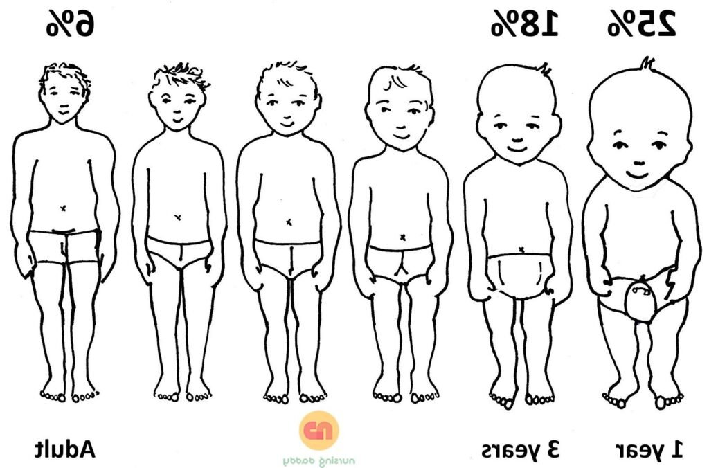 Quelle est la taille moyenne des bébés selon leur âge 1 bebes de differents ages avec des mesures