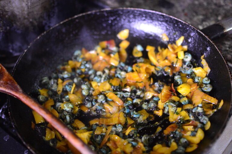 Comment cuire des bigorneaux : eau froide ou eau chaude 7 bigorneaux cuisines dans une casserole