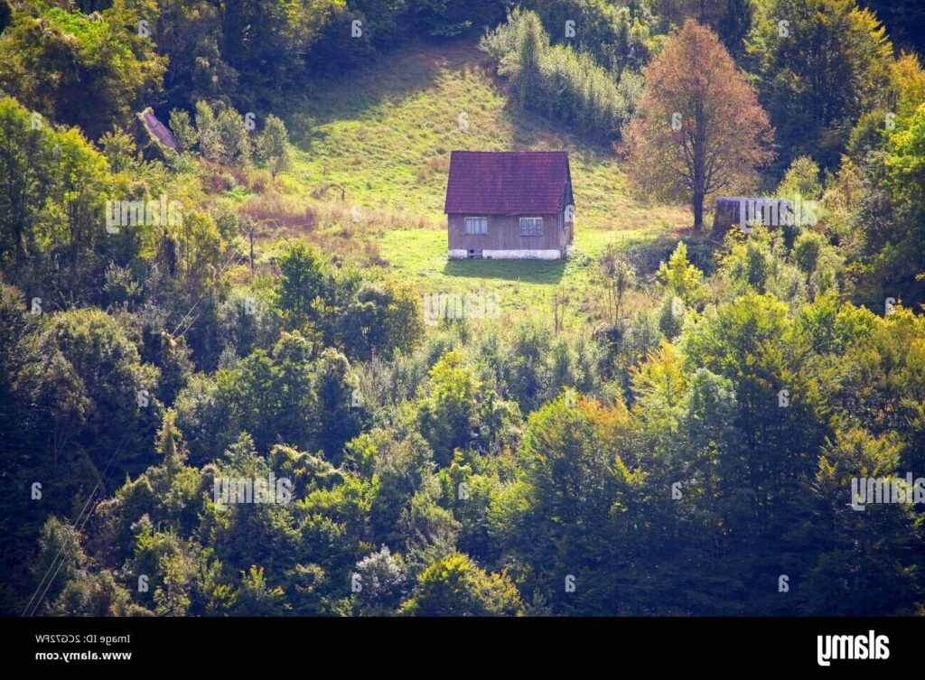 Que savoir sur le Disney Davy Crockett Ranch à Paris 1 bungalow en bois au milieu de la nature