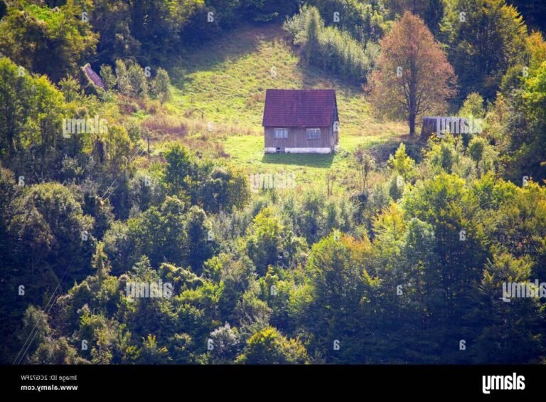 bungalow en bois au milieu de la nature