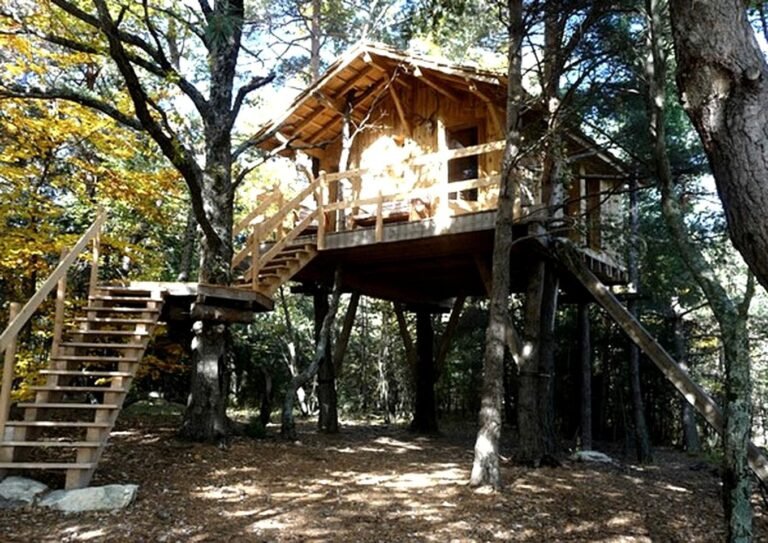 Quelle expérience unique offre les cabanes dans les arbres entre terre et ciel 37 cabanes dans les arbres entourees de nature