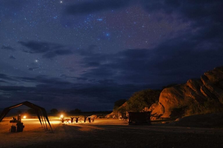 Que savoir sur le Hamilton Tented Camp en Afrique du Sud 24 camp de tentes sous etoiles en afrique