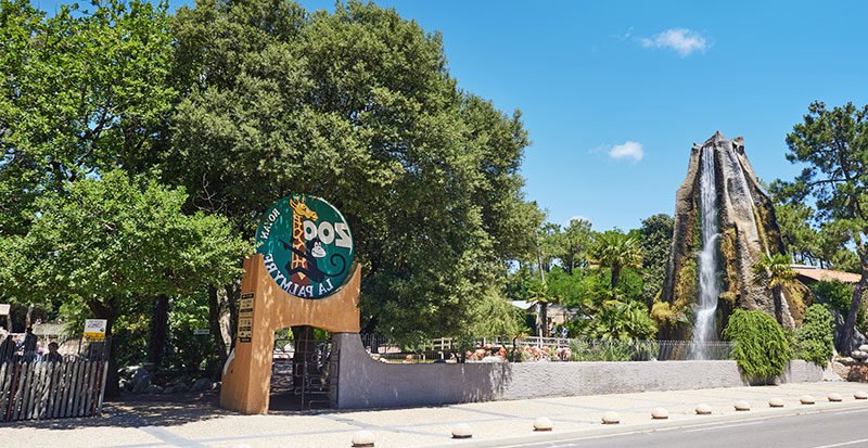 Comment visiter le Zoo de Beauval en camping-car facilement 4 Comment visiter le Zoo de Beauval en camping-car facilement