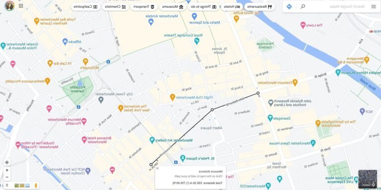 capture decran de google maps avec mesure