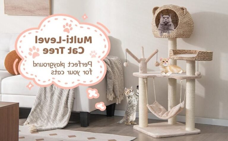 Quelle est l'histoire de la BD "Cath et son chat" et ses personnages 29 cath et son chat dans un salon cosy