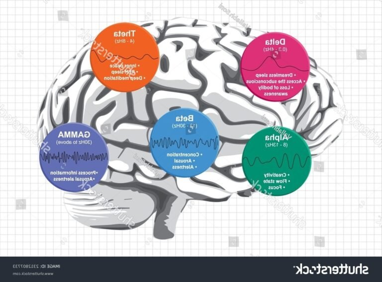 Quelle est la moyenne du QI en France et comment est-elle mesurée 3 cerebration dun cerveau avec des graphiques