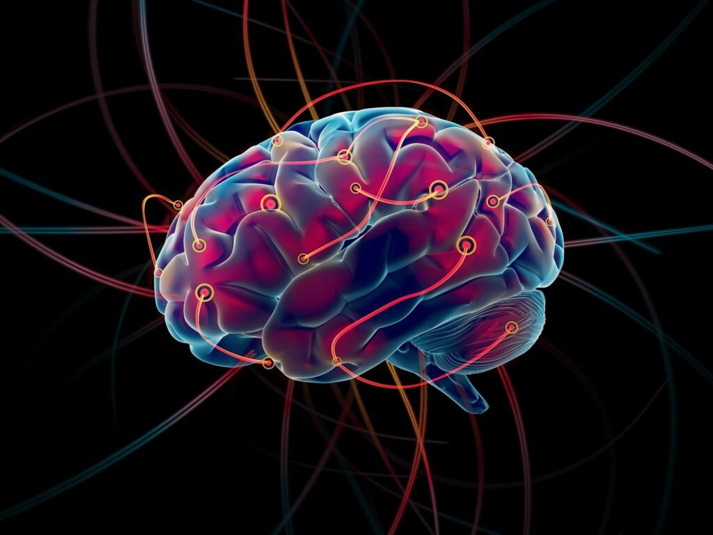 L'homme augmenté : Quels sont les futurs possibles pour nos cerveaux 4 L’homme augmenté : Quels sont les futurs possibles pour nos cerveaux