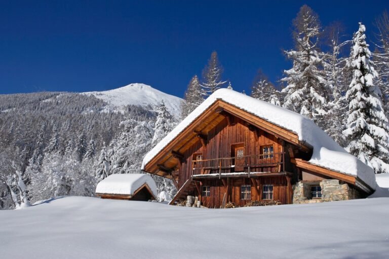 chalet en bois pres des pistes enneigees