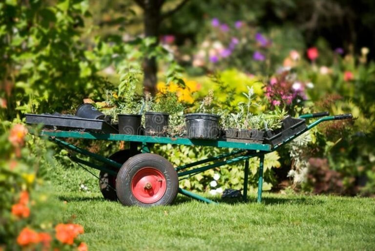chariot de jardin colore en pleine utilisation