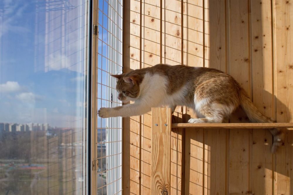 Avez-vous besoin d'une autorisation pour installer un filet sur un balcon pour chat 8 Avez-vous besoin d’une autorisation pour installer un filet sur un balcon pour chat