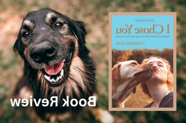 Comment créer une première bibliothèque inspirée de la Pat' Patrouille 34 chien de sauvetage avec des livres colores