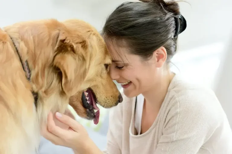 Que faire si votre chien mord et comment prévenir cette situation 19 chien et maitre en interaction positive