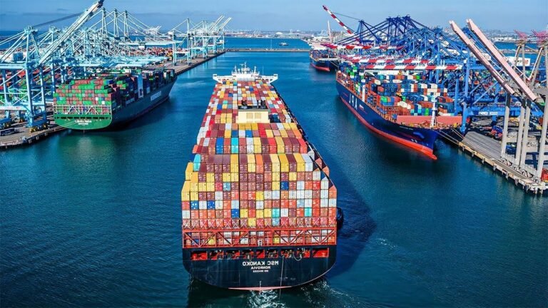 container ships in a busy port