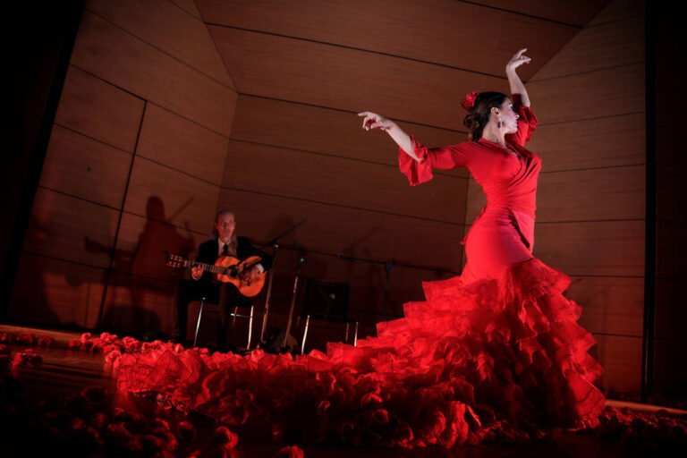 danseur de flamenco sur scene animee