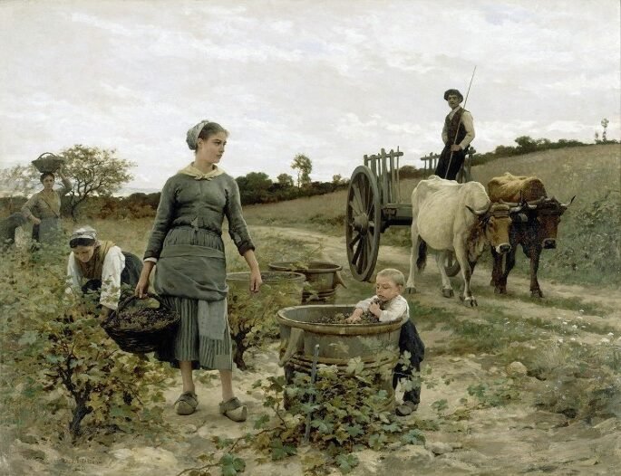 Pourquoi « L’amour est dans le pré » est-il si populaire en France