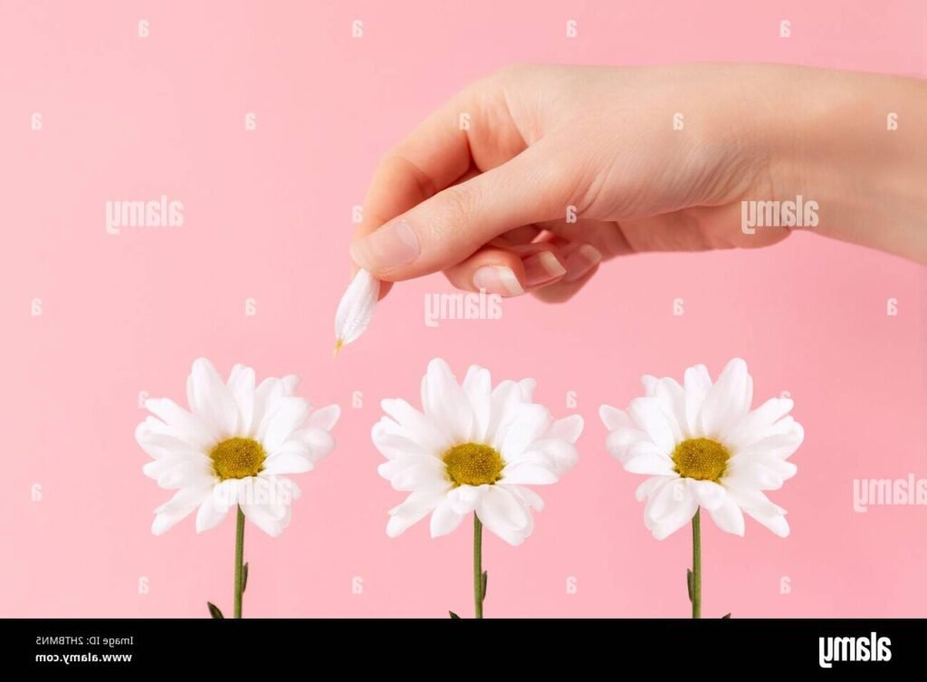 des larmes tombant sur une fleur