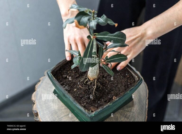 Comment réaliser facilement une rose des sables maison 35 des mains faconnant une rose des sables