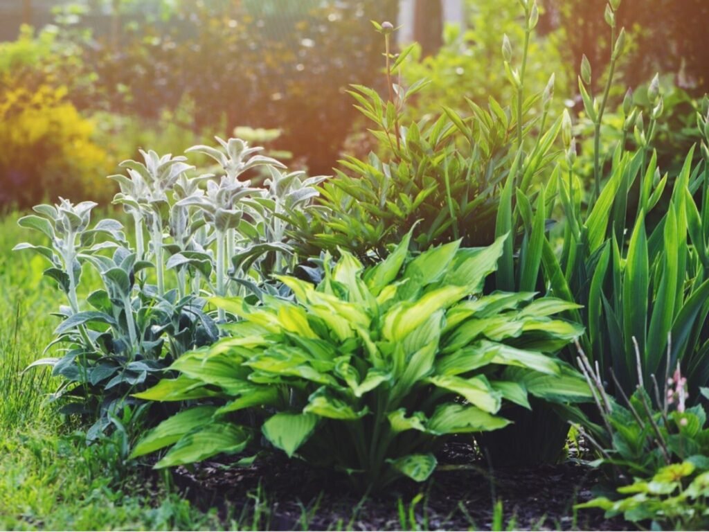 Où Acheter De L’Azote Pour Nourrir Vos Plantes Efficacement