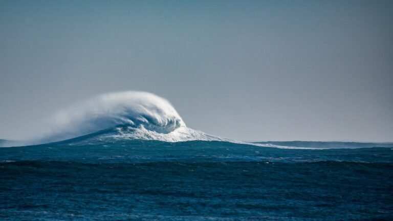 des vents forts soufflant dans la nature