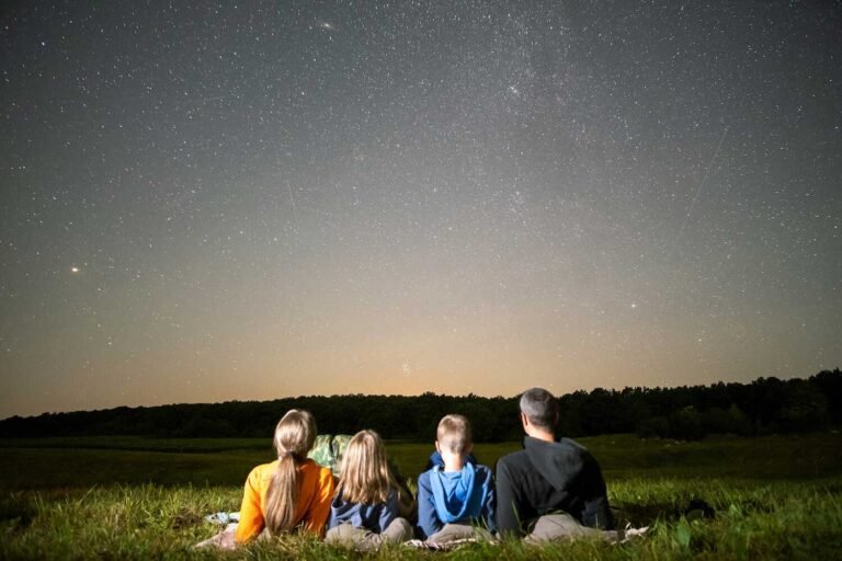 Pourquoi "Nos étoiles contraires" de John Green est-il si populaire 42 deux adolescents regardant des etoiles brillantes