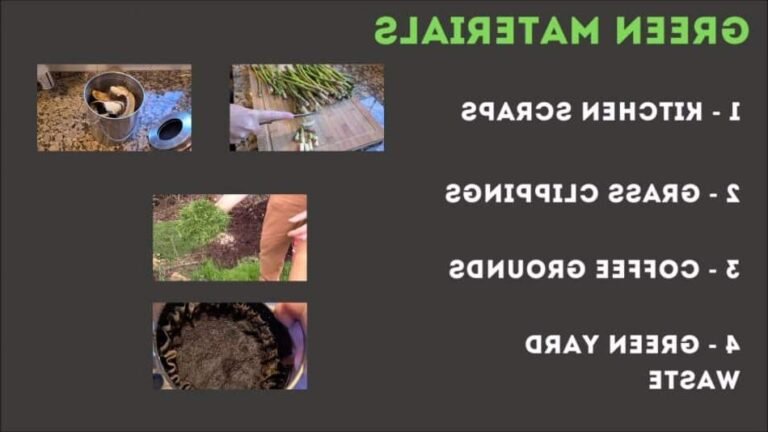 Que Peut-On Mettre Dans un Composteur Liste Complète des Matériaux ! 37 divers materiaux compostables en tas