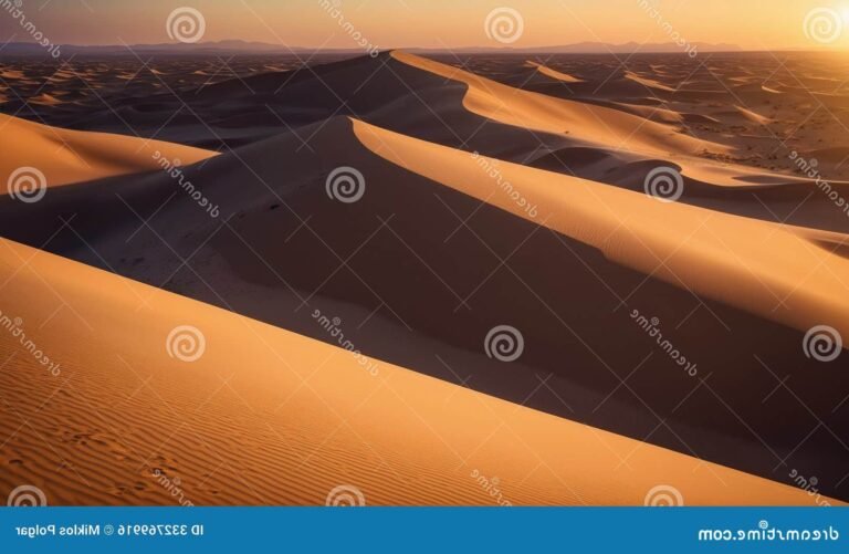 Quels sont les meilleurs conseils pour visiter les dunes de sable à Mui Ne 1 dunes de sable dorees sous le soleil