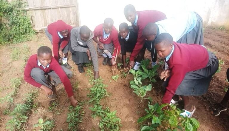 eleves en classe pratique au lycee agricole