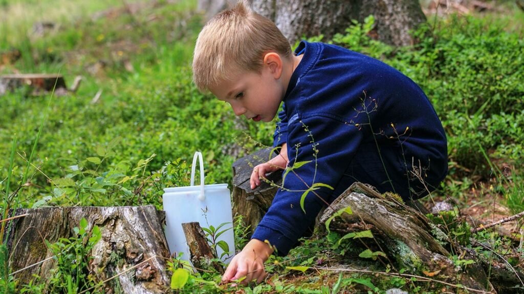 Quelles sont les meilleures idées pour organiser une chasse au trésor