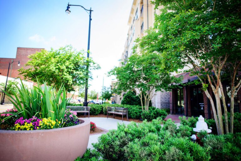 espace vert entre cours et jardin fleuri