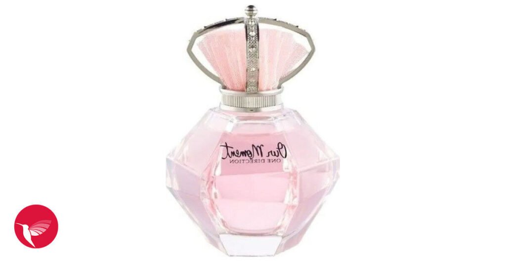Quel est le parfum One Direction Our Moment et ses caractéristiques 5 Quel est le parfum One Direction Our Moment et ses caractéristiques