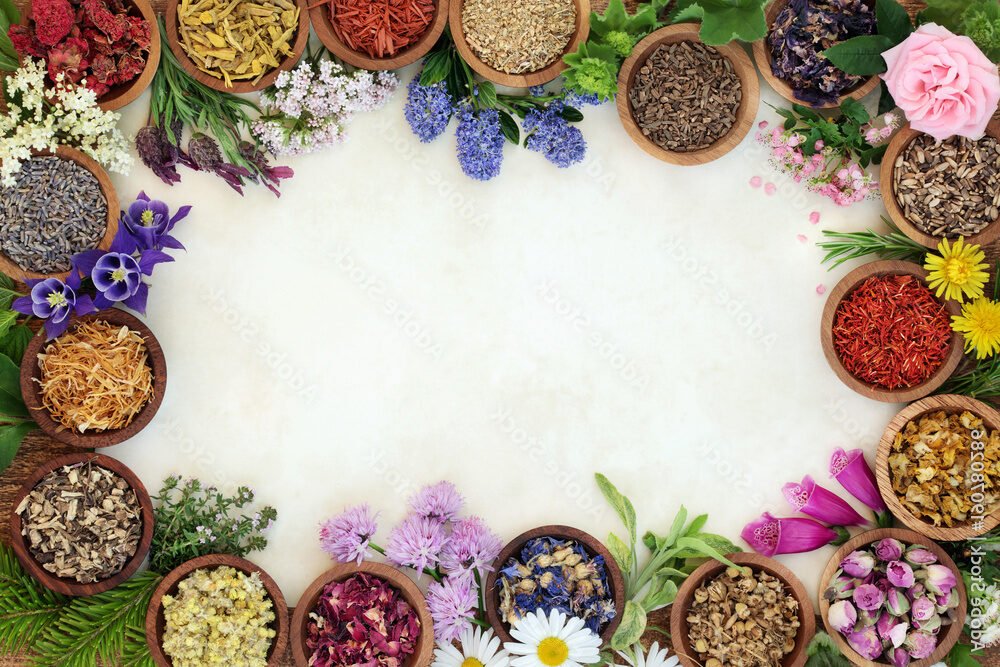 Quelles sont les meilleures pratiques de l'herboristerie dans ma bible 6 Quelles sont les meilleures pratiques de l’herboristerie dans ma bible