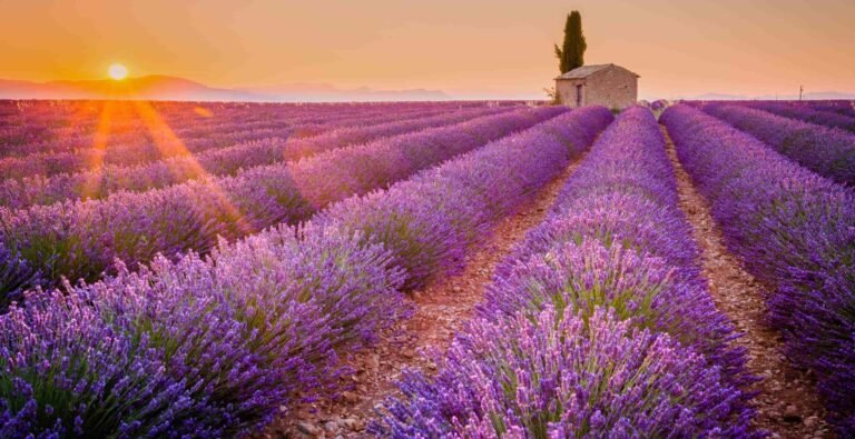 gare ter de sur tille en pleine activite