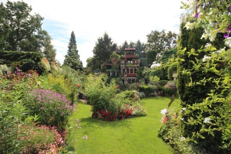 graines colorees dans un jardin fantastique