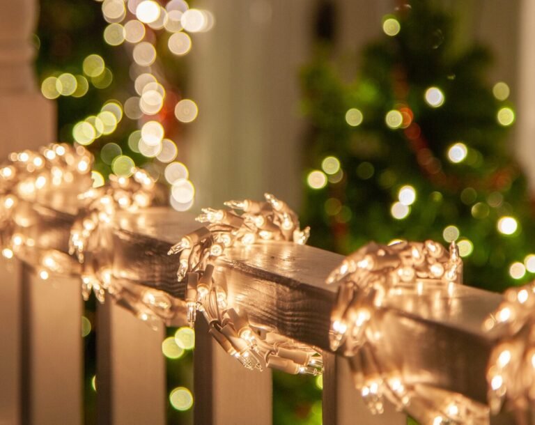 Quel est le dernier code promo pour La Case de Cousin Paul 29 guirlandes lumineuses colorees et festives