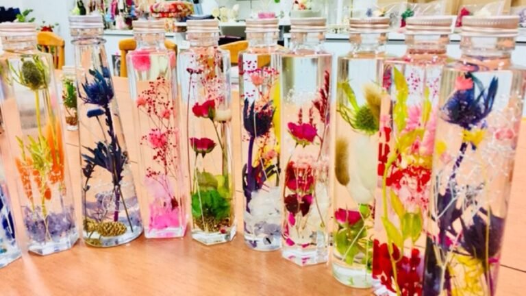 Qu'est-ce que "La Fine Bouche" et comment utiliser les herbiers 13 herbier colore avec differentes plantes comestibles