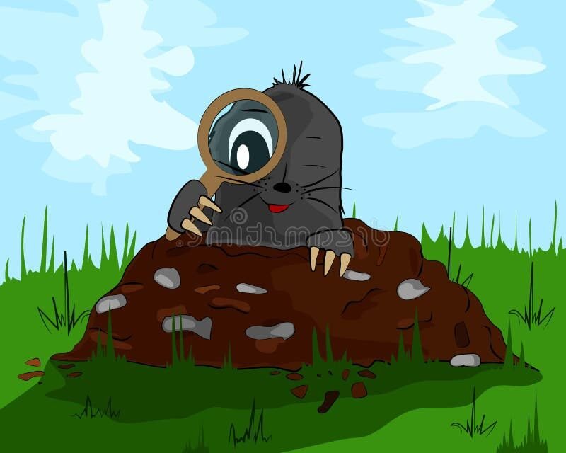 Quelle est l'histoire de "La taupe qui voulait savoir qui lui a fait ça" 7 Quelle est l’histoire de « La taupe qui voulait savoir qui lui a fait ça »