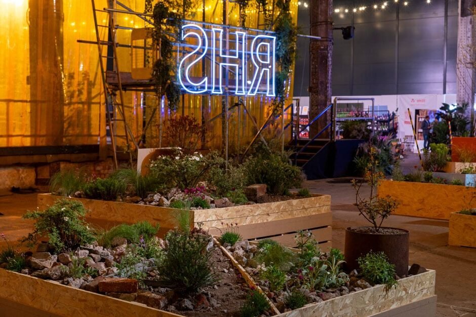 Comment créer un jardin punk : guide pratique et inspirations 1 jardin punk avec plantes colorees et audacieuses