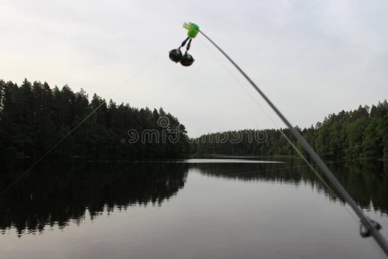 Quel est le meilleur endroit pour pêcher des poissons d'ici à Dreamlight Valley 29 lac paisible avec cannes a peche