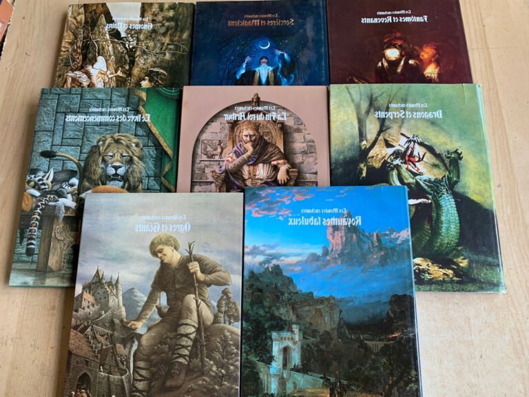 Quels sont les avis sur les livres des Éditions Le Lys Bleu 28 livres des editions le lys bleu en vitrine