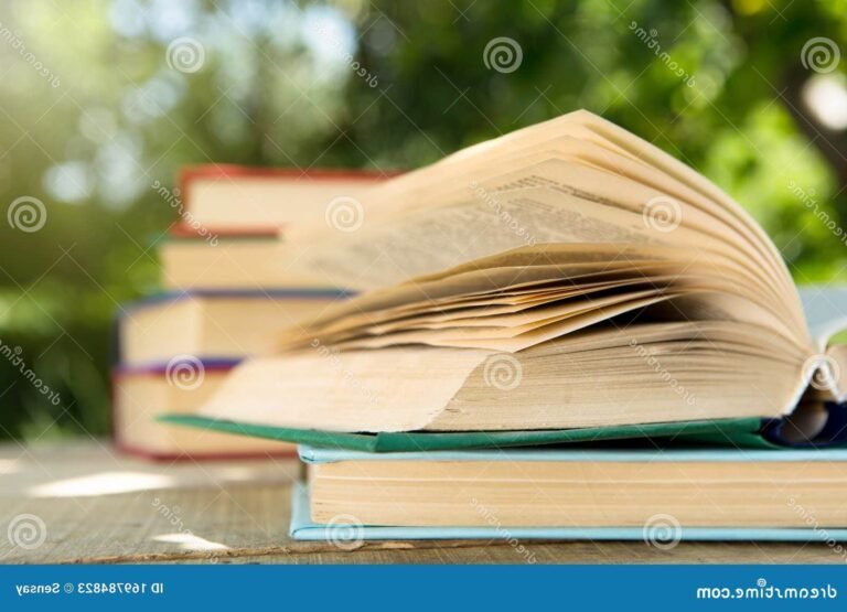 livres ouverts sur une table ensoleillee