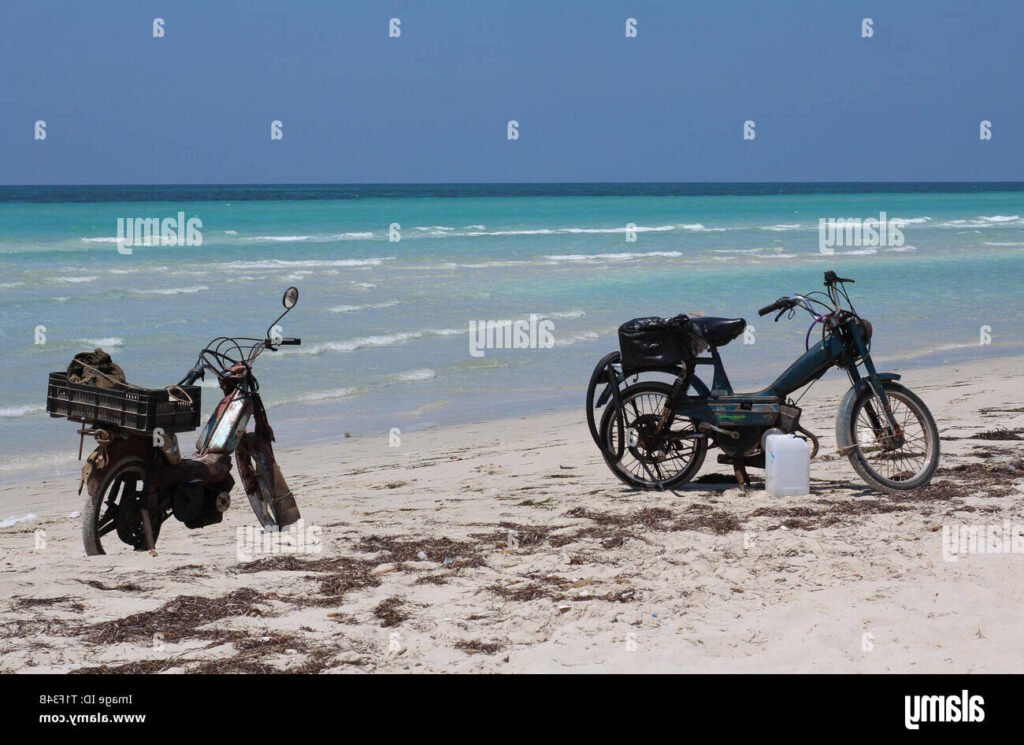 Quelle est l'histoire fascinante de Moto Moto dans Madagascar 7 Quelle est l’histoire fascinante de Moto Moto dans Madagascar