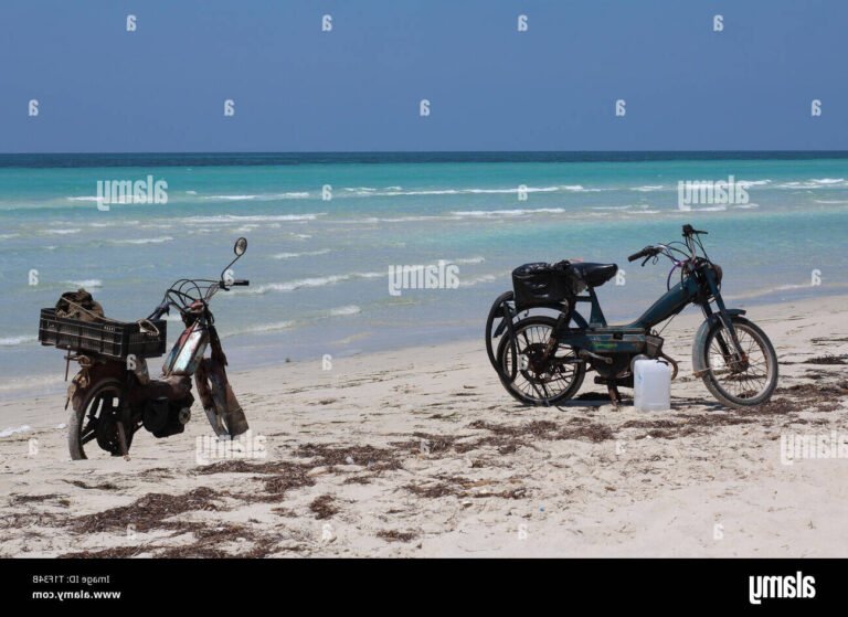 moto moto nageant dans un ocean turquoise