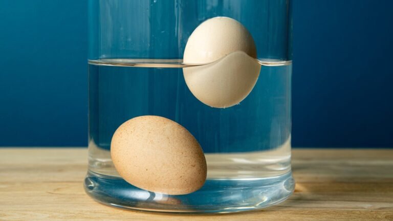 Comment savoir si vos œufs sont encore bons à consommer 33 oeufs flottant dans un bol deau