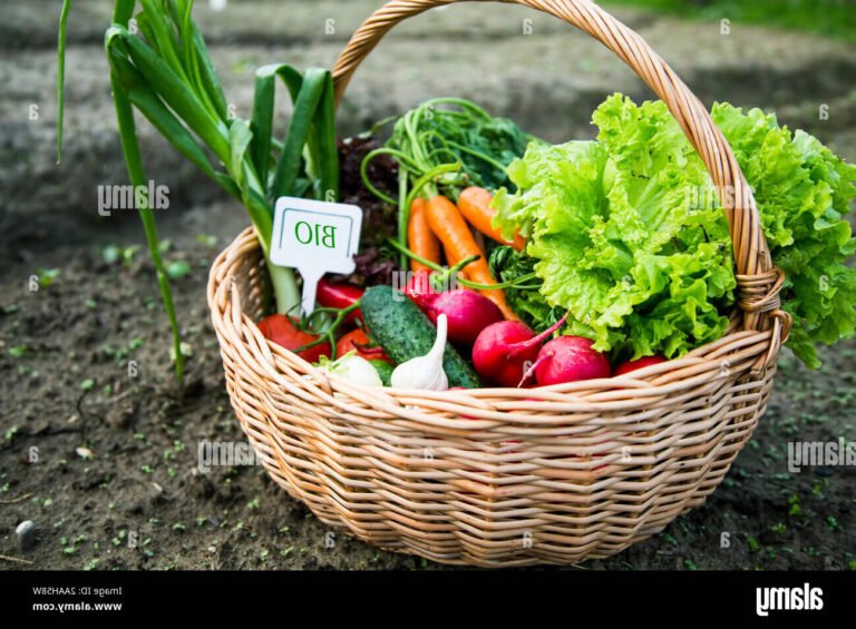 Comment acheter des produits locaux des Côtes d'Armor en ligne 18 panier de produits locaux frais